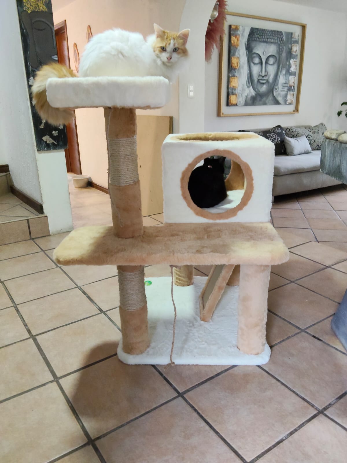 Fotografía 24 de un producto artesanal de CATSAS