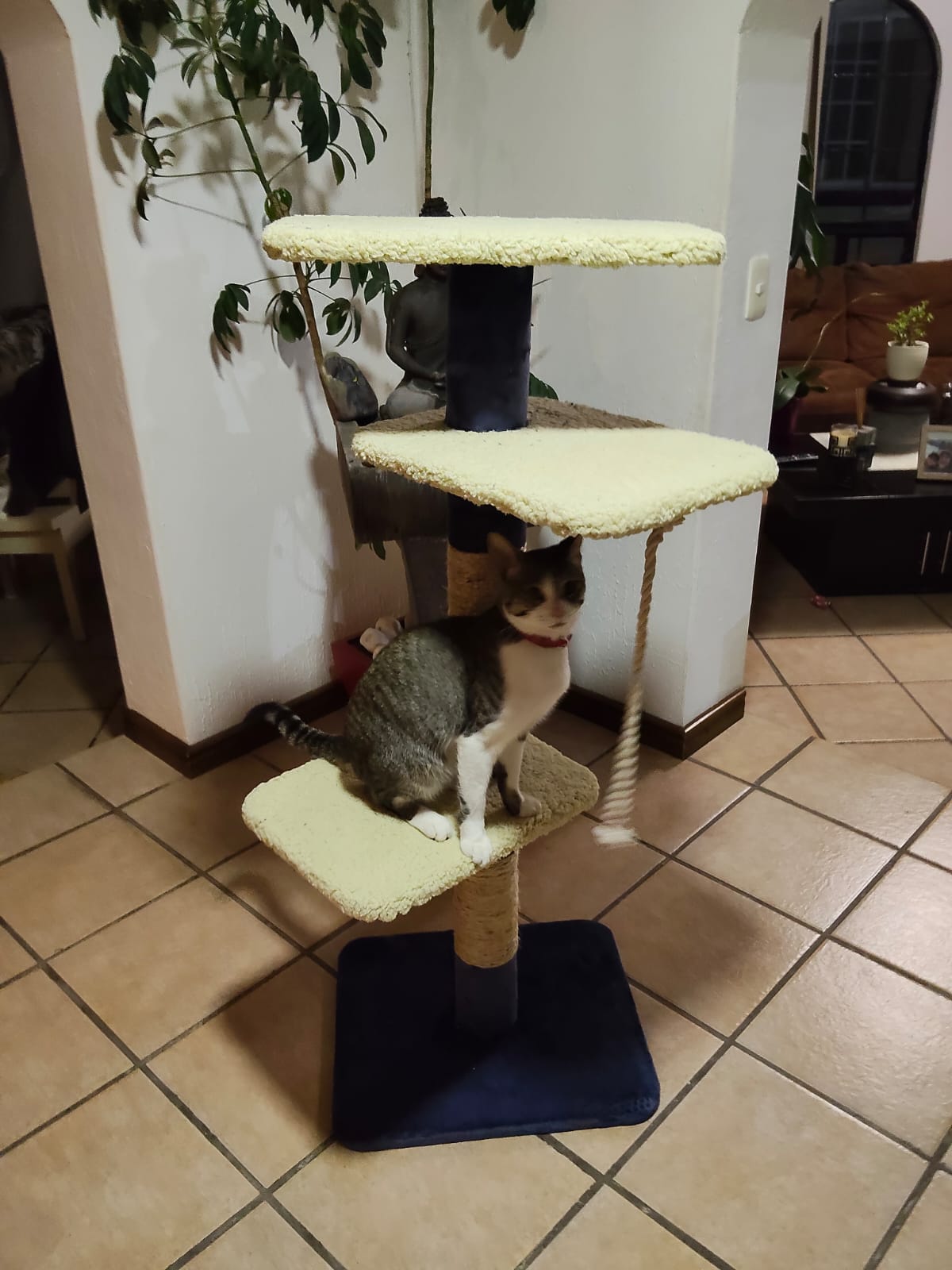 Fotografía 28 de un producto artesanal de CATSAS